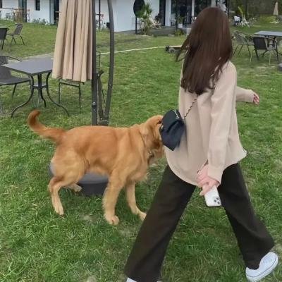 万紫千红青春乐